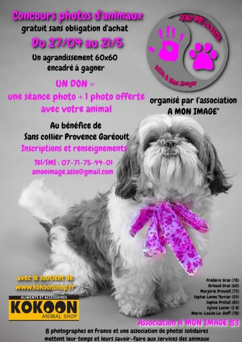 Concours photos