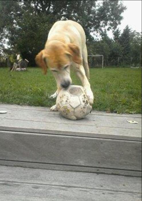 Tooki7