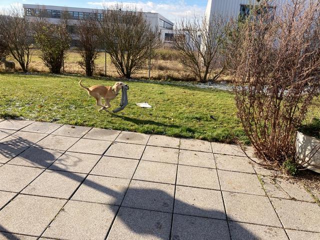 Abby et mika 2