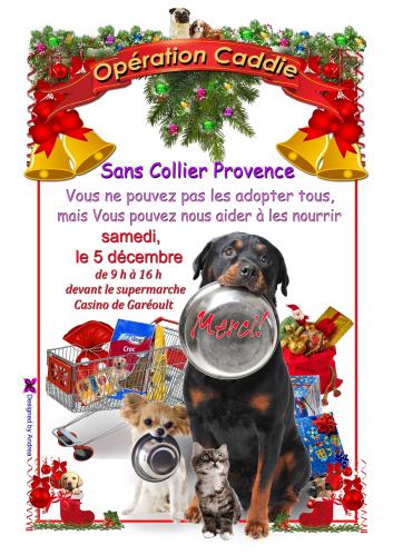 Affiche caddie noel 2015 avec casino