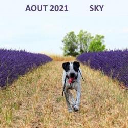 Aout 2021