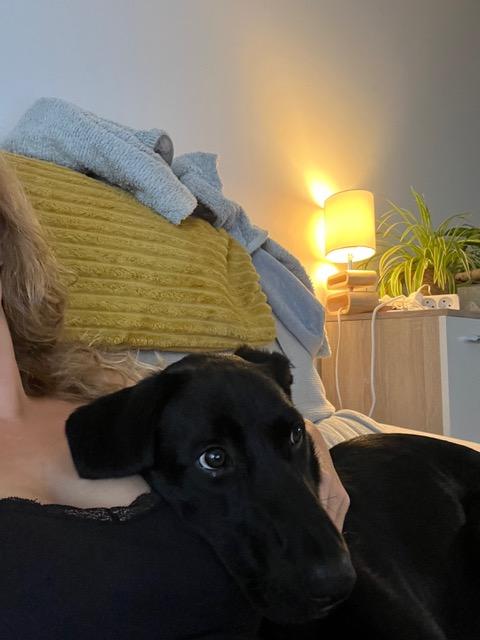 Bagheera 2