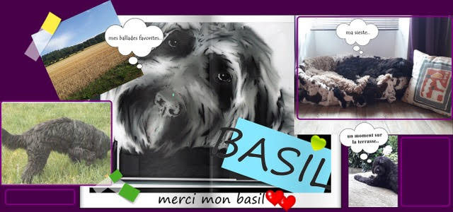 Basil2