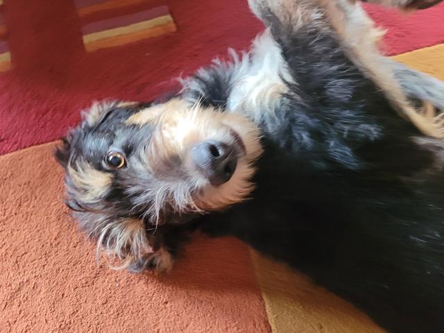 Bonnie 24