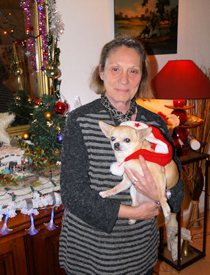Clochette chihuahua 4