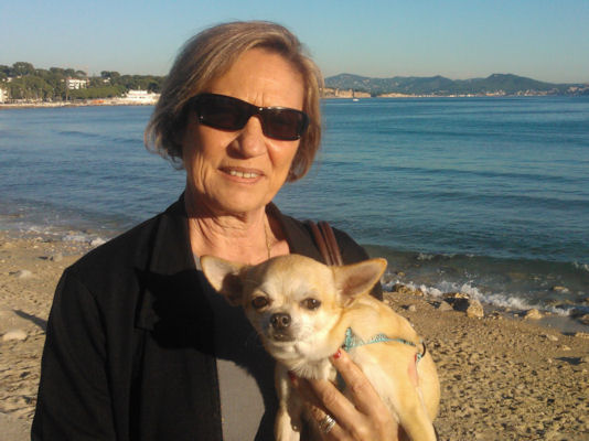 Clochette chihuahua 5
