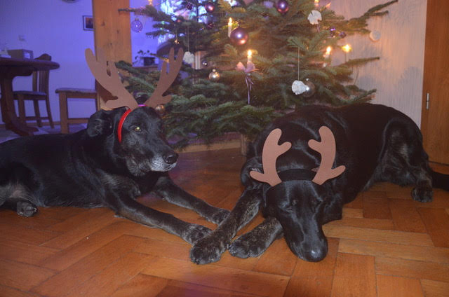 Clyde et eros8