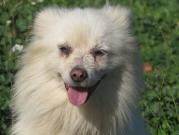 Coton tete2