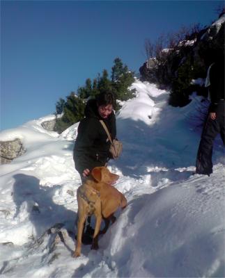 Damour1