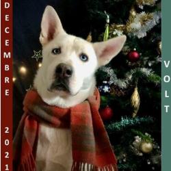 Decembre 2022