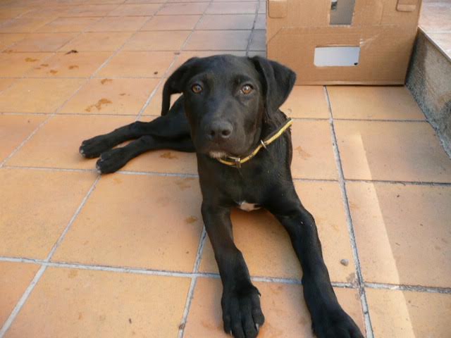 Diesel et funky1