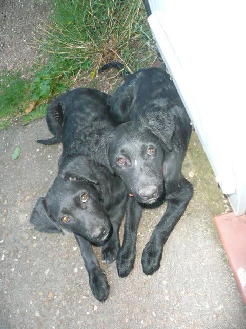 Diesel et funky10