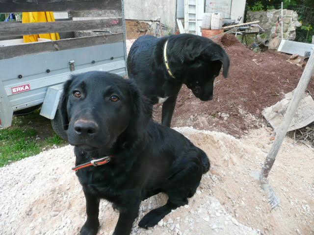 Diesel et funky11