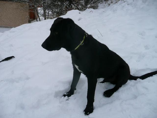 Diesel et funky21