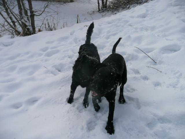 Diesel et funky22