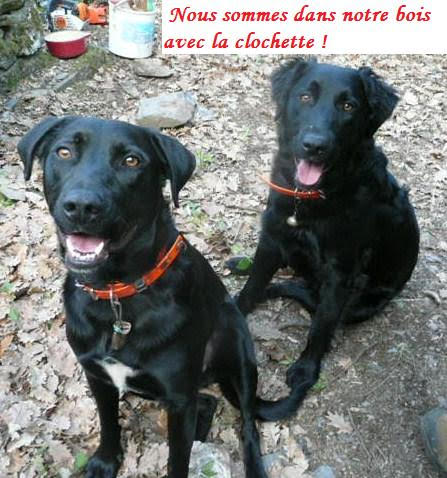 Diesel et funky26