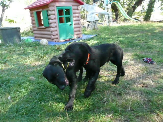 Diesel et funky3