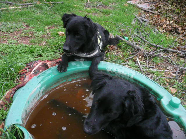 Diesel et funky33