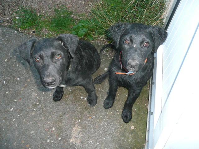 Diesel et funky9