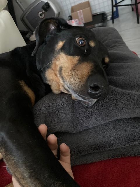 Doby 9