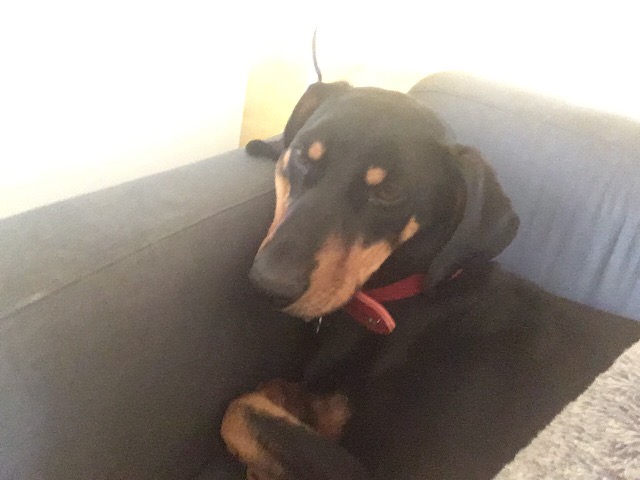 Doby1