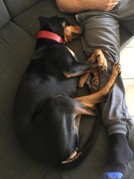 Doby2