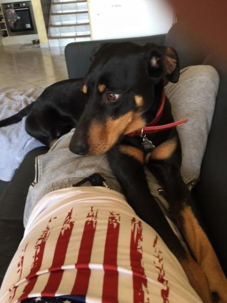 Doby3