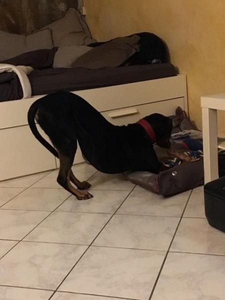 Doby5