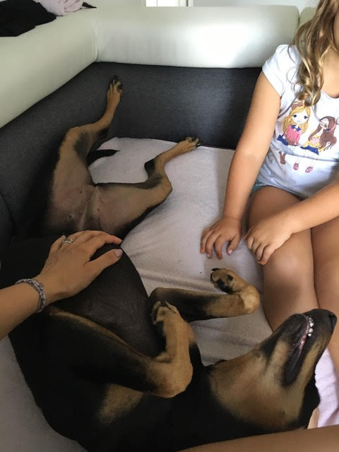 Doby6