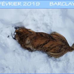 Février 2019