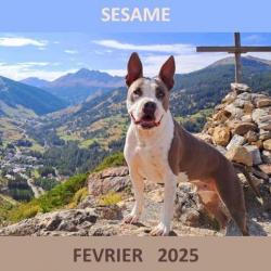 Fevrier 2025