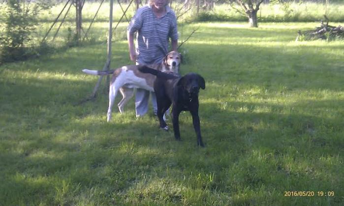 Fido10