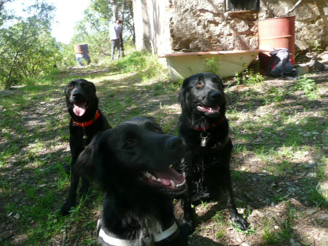 Funky et diesel avec leur frere