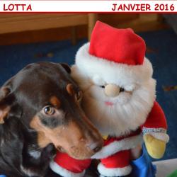 01Janv 2016