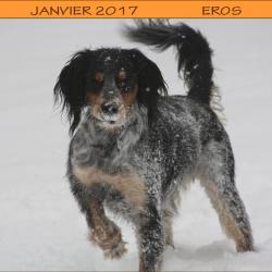 01Janv2017