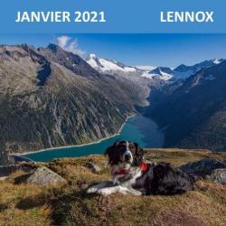 Janvier 2021