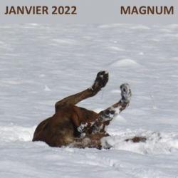 Janvier 2022