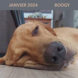 Janvier 2024