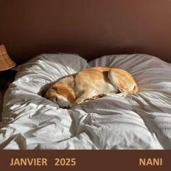 Janvier 2025