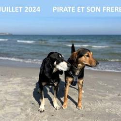 Juillet 2024