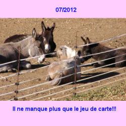07Juillet2012