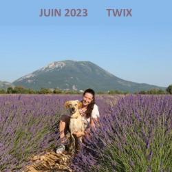 Juin 2023