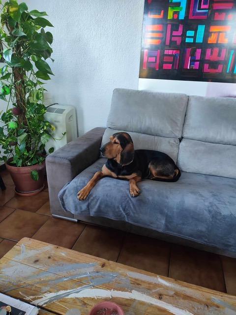 Julio 4