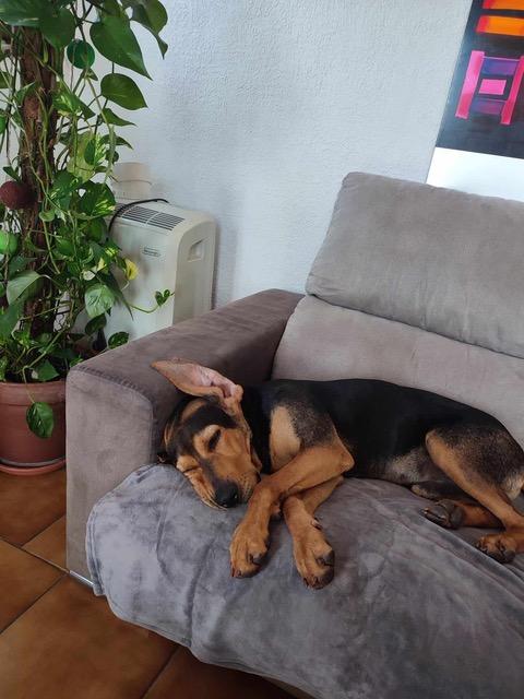 Julio 5