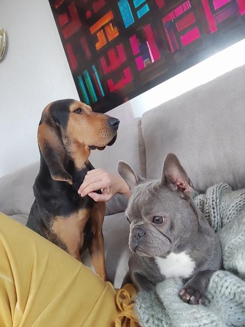 Julio 7