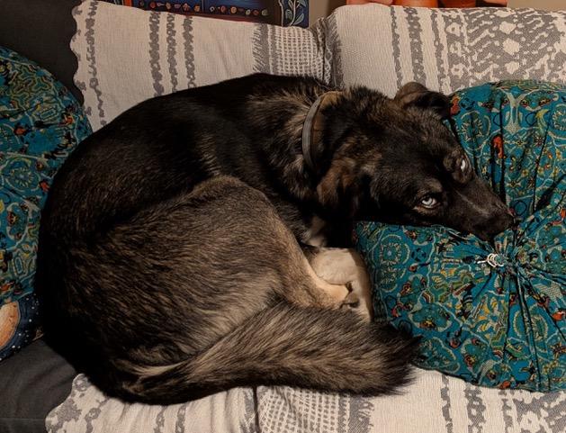Koda 5