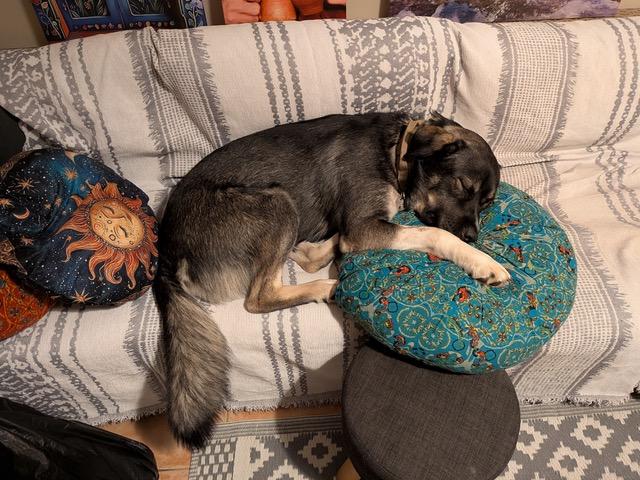 Koda 9