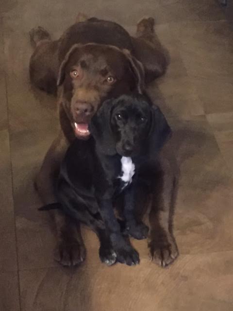 Lilly et krista2