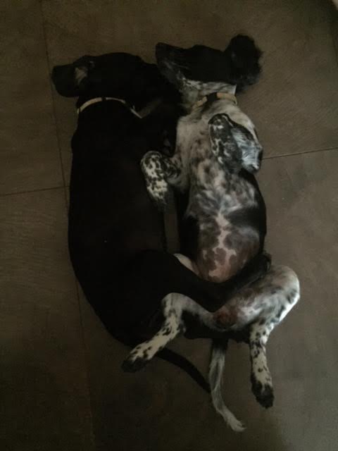 Lilly et krista3