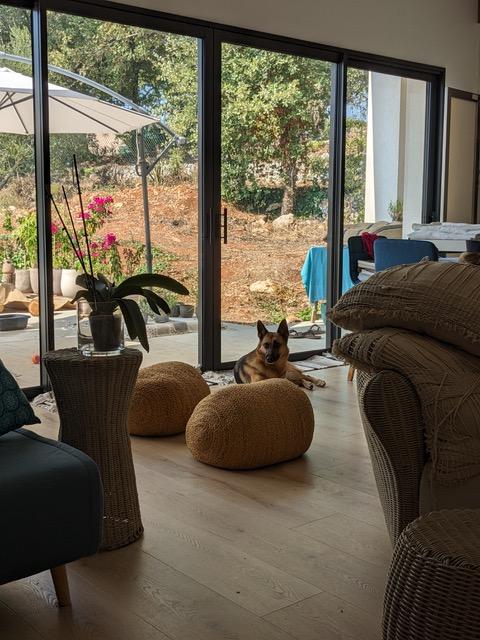 Lilo 13